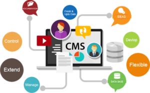 cms website development company